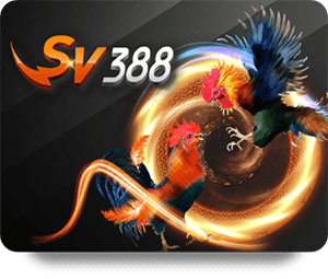 Bí Quyết Thắng Lớn Khi Chơi Tại VF555 Casino Đẳng Cấp