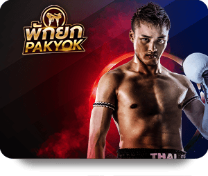 Best Sports to Bet on with 33WIN Top Bet